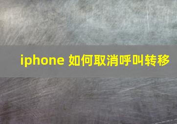 iphone 如何取消呼叫转移